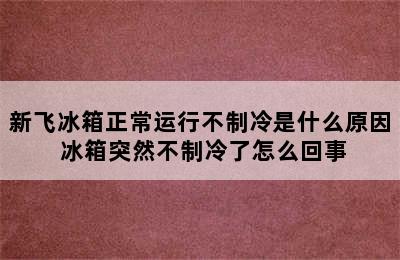 新飞冰箱正常运行不制冷是什么原因 冰箱突然不制冷了怎么回事